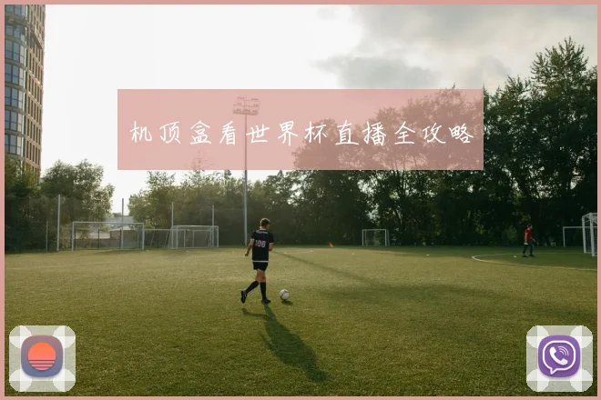 机顶盒看世界杯直播全攻略