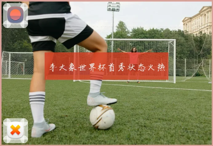 李大象世界杯首秀状态火热