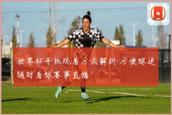 世界杯手机观看方式解析 方便球迷随时看球赛事直播