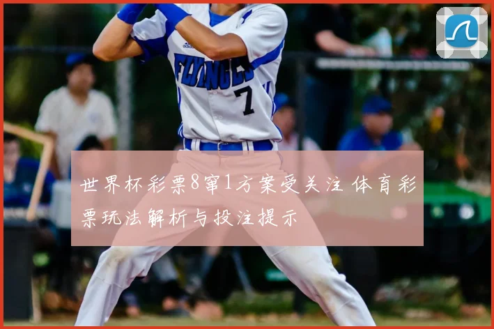 世界杯彩票8窜1方案受关注 体育彩票玩法解析与投注提示